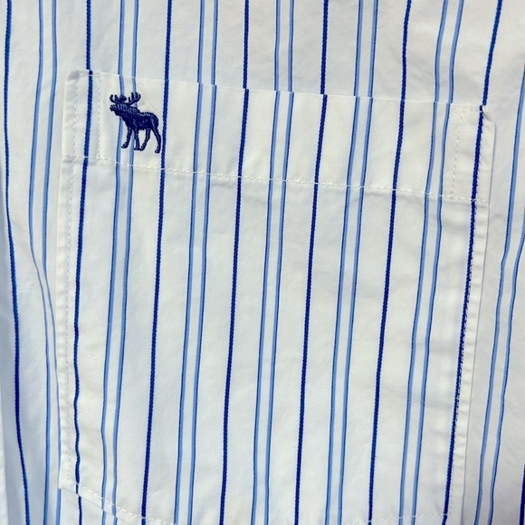 Abercrombie & Fitch long Sleeve Striped Muscle Fit Button Up Men’s Size Medium - Picture 2 of 8